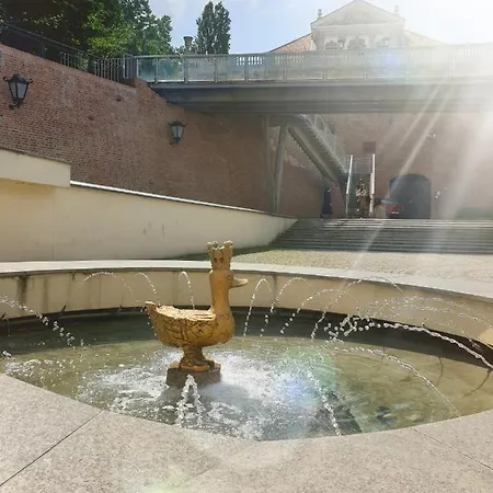 Lejlighed Latte Juliana Bartoszewicza